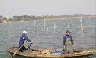聚焦水韻江蘇 環保技術驅動，多地水污染防治成效顯著